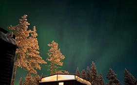 Levi Aurora Igloo